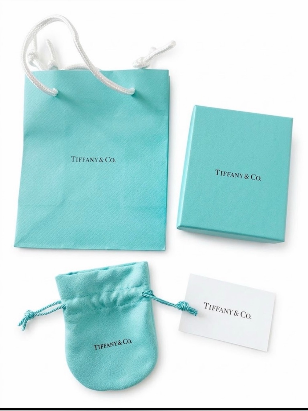Authentic Tiffany & Co. Empty Box, Gift Bag, Suede Pouch & Card Set (4 Pc)